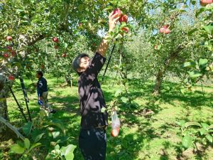 りんご狩り例会 @ もだに農園 | 高山市 | 岐阜県 | 日本